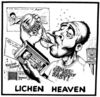lichenisblack2.jpg